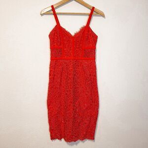 Express Lace Corset Fitted Midi Dress Size 6